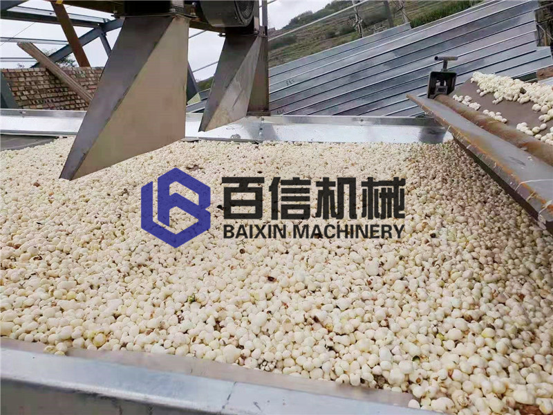 半夏烘干機 半夏烘干機